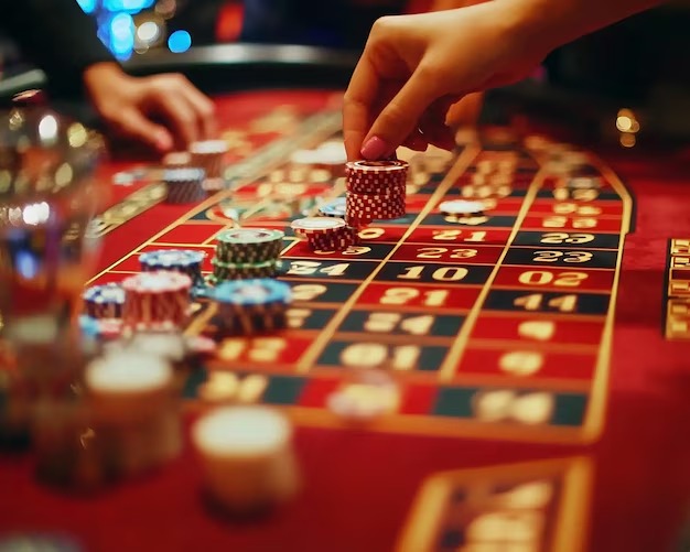 Dragon Hatch live dealer game interface on junior88 mobile app